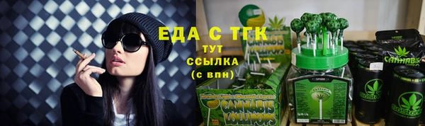 СК Пересвет