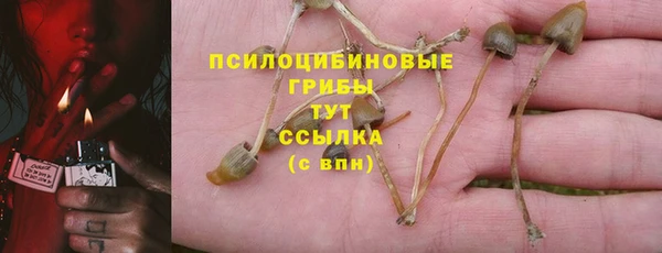крисы Белоозёрский