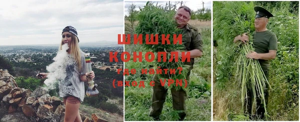 крисы Белоозёрский